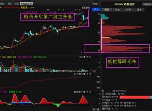 如何抢买涨停股票 如何抢买涨停股票