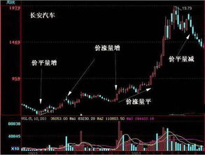 股票如何看每天成交量图