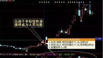 如何输入换手率选股票