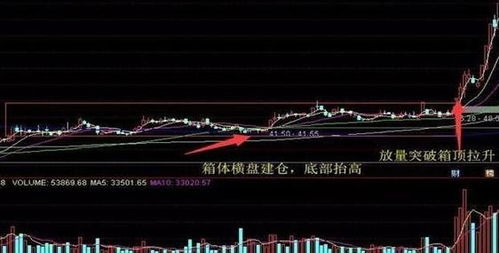 如何查是否买股票