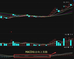 股票的顶背离如何看