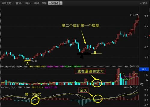 股票如何去掉绿柱