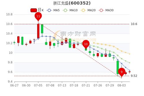 浙江龙盛股票如何