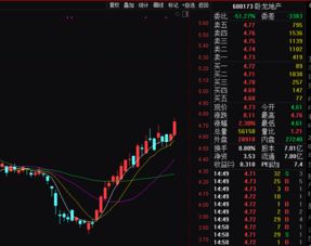浙江龙盛股票如何