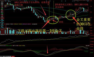 如何看懂股票的价值理论