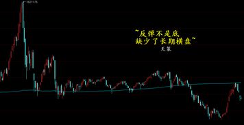 如何看出股票有分红机会