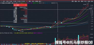 散户如何追股票