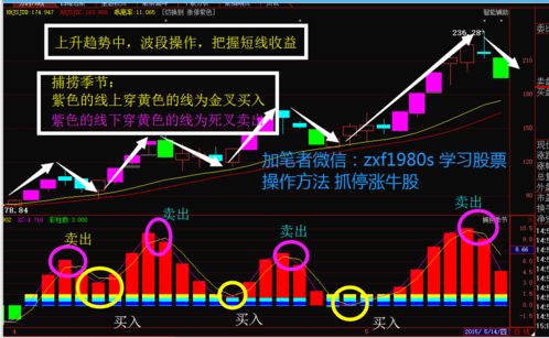 如何决定股票成功率