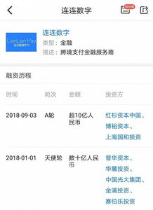 如何查中金入股股票
