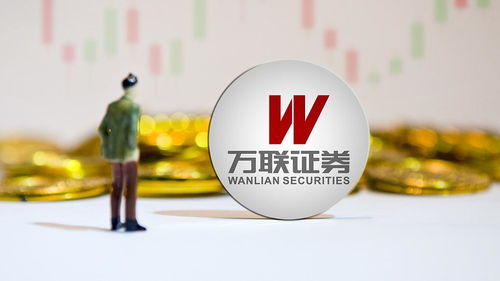 万联证券是怎么的公司