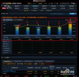 如何查询股票的信息数量