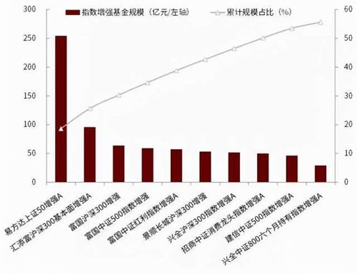 如何查看股票基金占比高