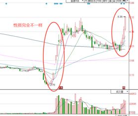 证券股票集体涨停怎么走 证券股票集体涨停怎么走