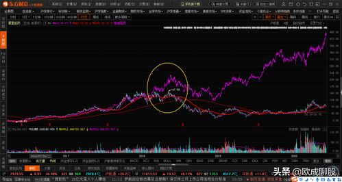 如何分析成长股票价格