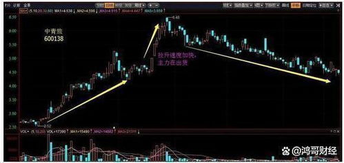 中国人如何挑选公司股票
