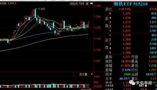 如何查看基金的权重股票