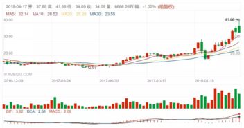 海南如何股票开户 海南如何股票开户