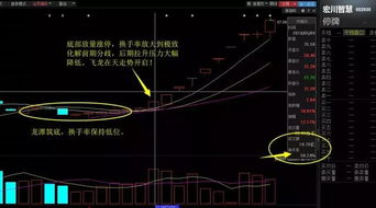 如何查找换手率底的股票 如何查找换手率底的股票