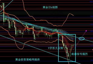 选择股票后如何操作买卖