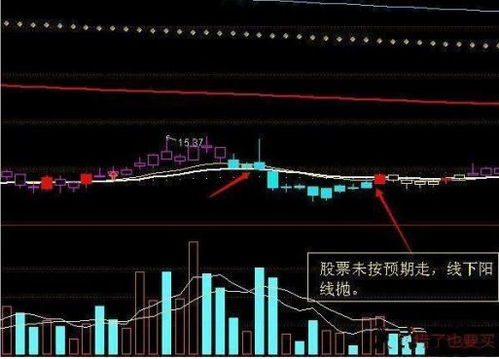 现阶段该如何理财买股票 现阶段该如何理财买股票