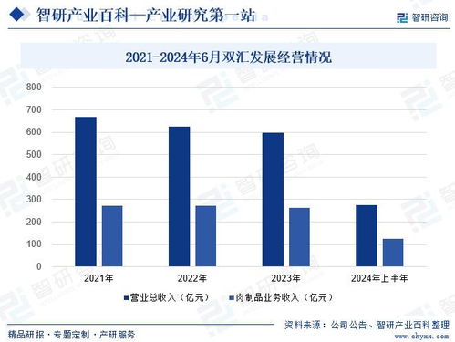 企业如何发展股票