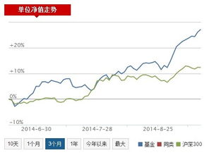 怎么形容证券投资