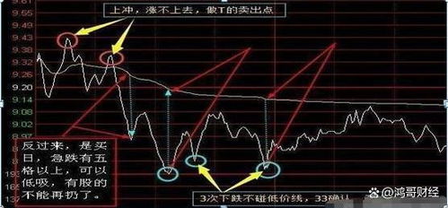 股票涨了如何持有