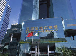 证券交易所怎么改造