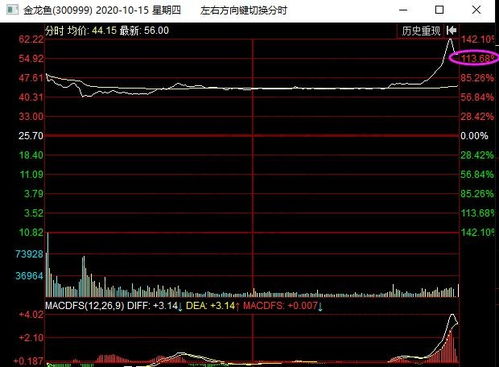 如何看股票第一天涨幅榜