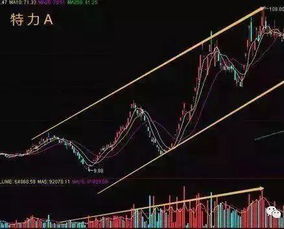 散户如何找到高控盘股票 散户如何找到高控盘股票