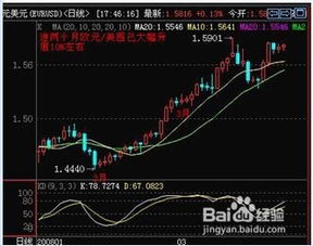 新手如何自学股票
