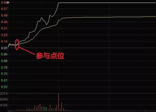 如何解读一只股票