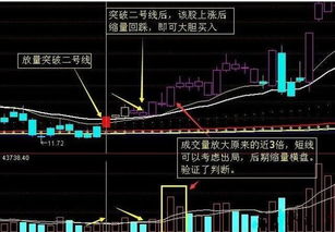 如何解读一只股票