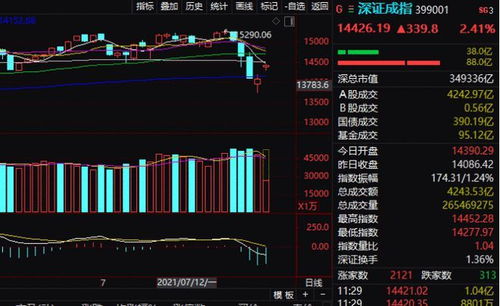 如何添加创业板指数股票