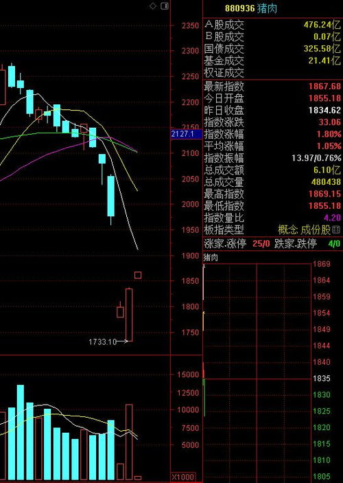 股票抄底如何搜索股票 股票抄底如何搜索股票