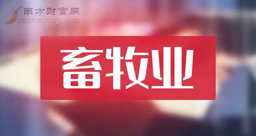 畜牧股票如何