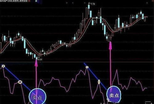 如何查看股票收入百分比