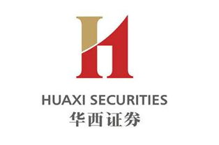 华西证券怎么查询