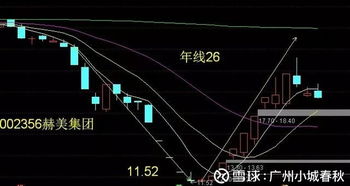 如何选增长股票 如何选增长股票