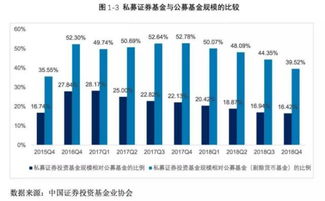 私募证券基金怎么炒股票