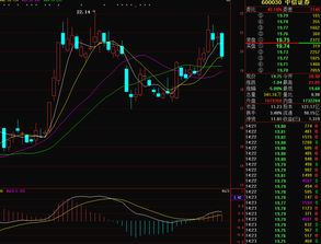 中信证券怎么分析股票