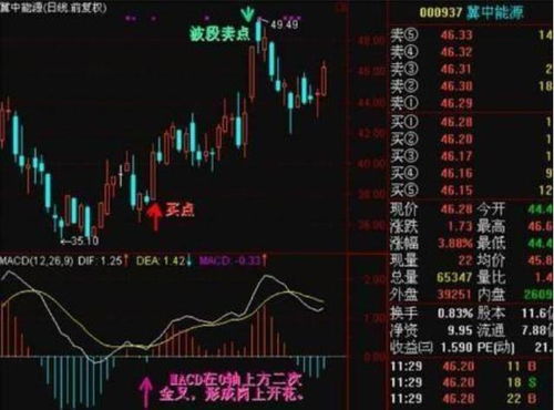如何看懂股票买入数量 如何看懂股票买入数量