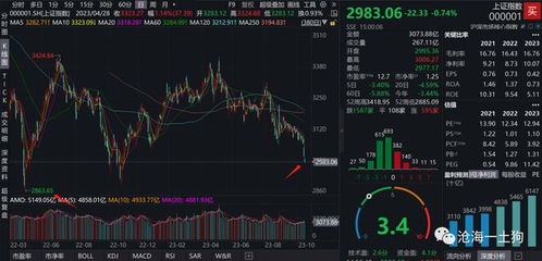 股票如何做杠杆分析