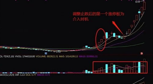 如何种股票