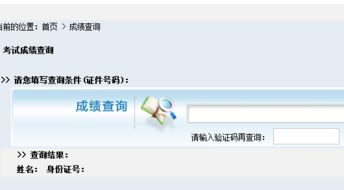 怎么查看证券考试地点