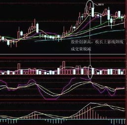 买入的股票如何成功