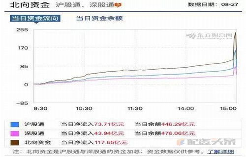 如何申购中国股票的股票
