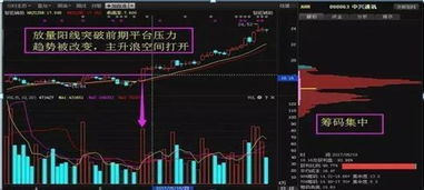 如何选择个股和股票