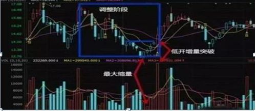 如何选择个股和股票