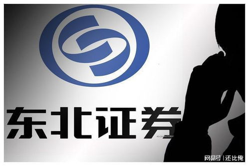 东北证券圣邦股份怎么样